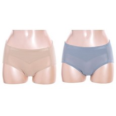 비너스골반