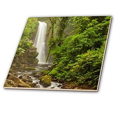 Central America Costa Rica. Templo Waterfall in Rain Forest. Tile 8 x 8, 본상품