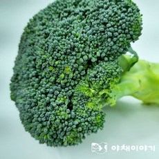 야채이야기 신선한 국내산 생 브로콜리 2kg, 1개