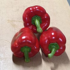 못난이파프리카5kg