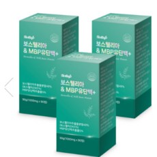 비엠커머스 롤업 보스웰리아 MBP 유단백 플러스 1000mg, 3개, 90정