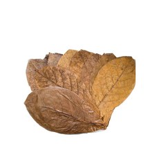 탄토라 알몬드잎 [소] 벌크포장, 단품