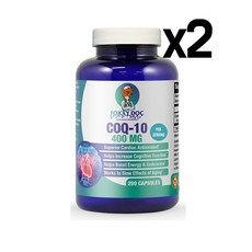 벨르랑코엔자임