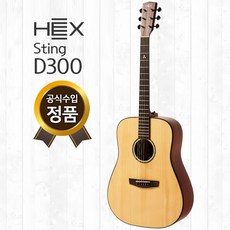 헥스 D300 헥스 기타
