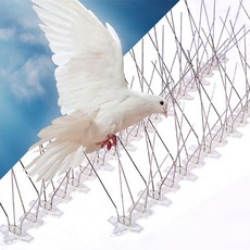 313920b370a687bed619040f6e54f675184a25c03bf0f4849825def3c6a7.jpg