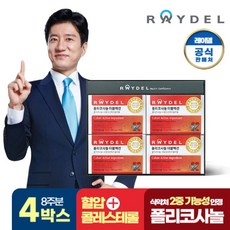 레이델 폴리코사놀 더블액션 4박스/8주분, 28정, 4개