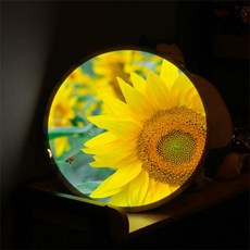 꾸밈led액자45