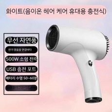 무선 헤어드라이기 휴대용 노마드 캠핑 여행용 충전식, 음이온 백색