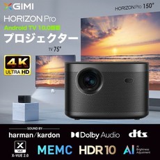 호라이즌프로