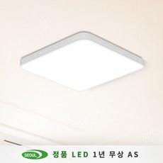 더엘이디 루시아 LED방등 60W (서울반도체칩 KC인증), 화이트