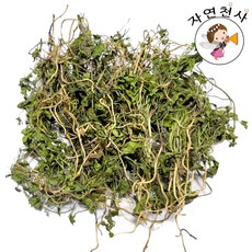 야생 메꽃 300g 전초 잎 줄기 뿌리 꽃 씨앗 직접채취 깨끗한손질, 메꽃300g, 1개