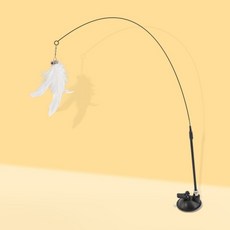 반려동물캣물고기수족관