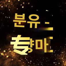 [샤오민지아] 여성 후크 스포츠 및 캐주얼 스니커즈에는 무료 배송이 포함되지 않습니다. 11.24