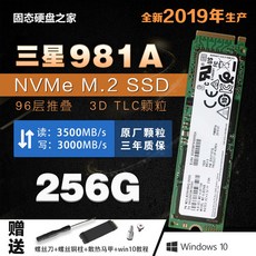 SSD PM981a NVMe256G512G1T2TB PCIE M.2, 1MB, T01-카모그린