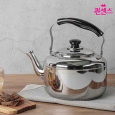 퀸센스 루미스 하모니 인덕션 스텐 주전자 10L, 1개