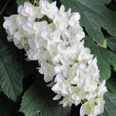 3a3ad7b71439ed5f45bd220d4112d783c171d271a3cb4765d5dfcc912585.jpg