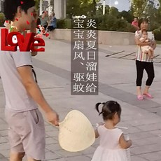 제이앤알트레이드 가선 부들풀 여름 부들부채 등나무라탄 받아들이다 04 서늘한 향기 포포, 식물 염색 가선 부채 와이드 28-3