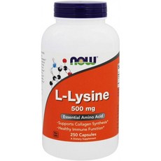 Now Foods L-라이신 500mg 캡슐, 250개입, 2개