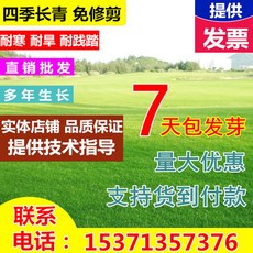 48be2c820d62daf814e41b140896a5864696d6ce1ac9b8d52ab8ec7219c0.jpg