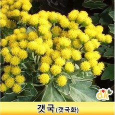 ef9c795e1a5761aa57dc8be530a8957eb3a85883dbaf3d58302a718af9b1.jpg