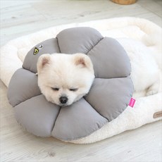 패리스독 꿀잠카라 그레이 (사이즈선택), 1개