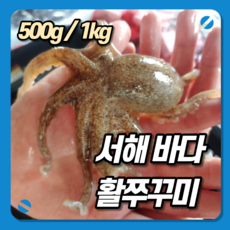 ca98f2c1215b262e9c17bc75ea736f24b3ecb821ebd185787dc7b58ace9b.png