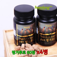 핑거루트정 판두라틴 핑거루트 추출물 분말 가루 정 차 환 알약타입 다이어트 뿌리 건조 식이섬유 체지방 복부 뱃살 관리, 4병
