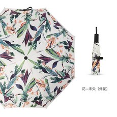 래쉬숲