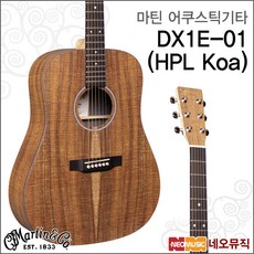 DX1E-01, 마틴 DX1E-01 (HPL Koa)_MG