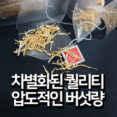 국내산 무농약 황금 갈색팽이버섯 차 30개(버섯 티백 가루), 갈색(황금)팽이버섯
