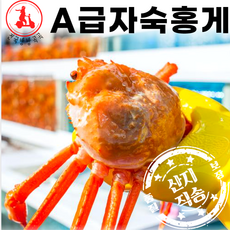 [수율보장 산지직송] 포항 구룡포 자숙 홍게 택배 3kg