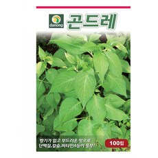 다-곤드레(고려엉겅퀴) 50g 곤드레씨 곤드레종자 곤드레씨앗, 1개