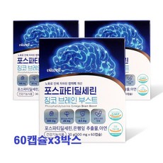 비웰 포스파티딜세린 징코 브레인 부스트 은행잎 추출물 아연, 3개, 60정