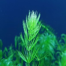 cc678b840bf9323d92e8e6fc90f6e6c682684eef6547430066a5e9b3bd4a.jpg