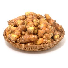 진도 생울금 1kg, 1개