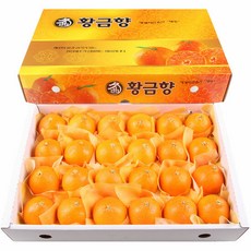 제주황금향생산자유은이