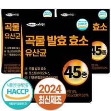 자연속 하루 효소 곡물 발효 효소 유산균 45종