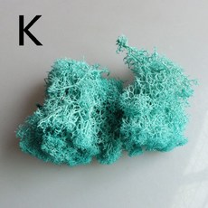 이끼본드