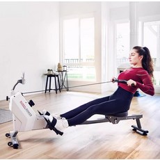 미국 SUNNY 컴팩트 접이식 로잉머신 자기저항 유산소 홈트 저소음