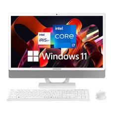 삼성 일체형PC 올인원PC DM530ADA-L78AH+8GB+1TB (인텔 i7-1165G7 60.5cm WIN11 16GB 512GB SSD 1TB HDD), WIN 11, L78A +8GB +HDD 1TB