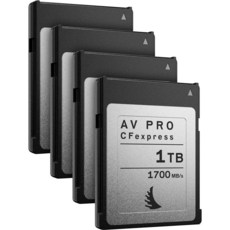 엔젤버드1tb