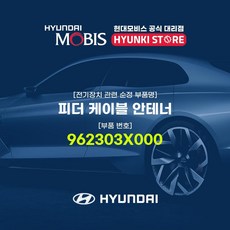 안테너