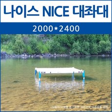 dsp좌대