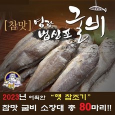 기타 [법성포참맛굴비] 영광법성포 소장대 굴비 80미, 1