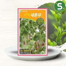 솔림텃밭몰 새싹새론무씨앗 30g 새싹새론무 새싹채소씨앗, 1개