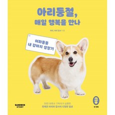 아리둥절에세이