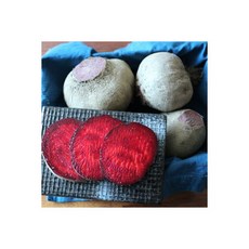 김경보비트