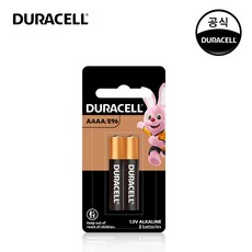 aaaa건전지