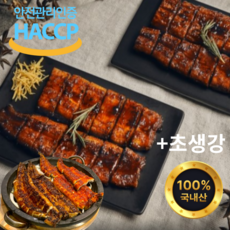 국내산 민물 양념 장어 초벌 구이 초생강증정 원기회복 활력, 1개, 간장양념(250g)