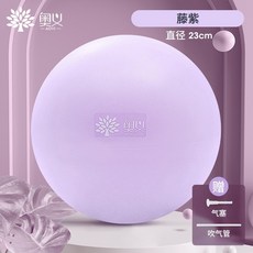 기구를이용한필라테스